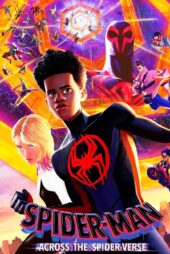 انیمیشن مرد عنکبوتی: در میان دنیای عنکبوتی دوبله فارسی Spider-Man: Across the Spider-Verse 2023